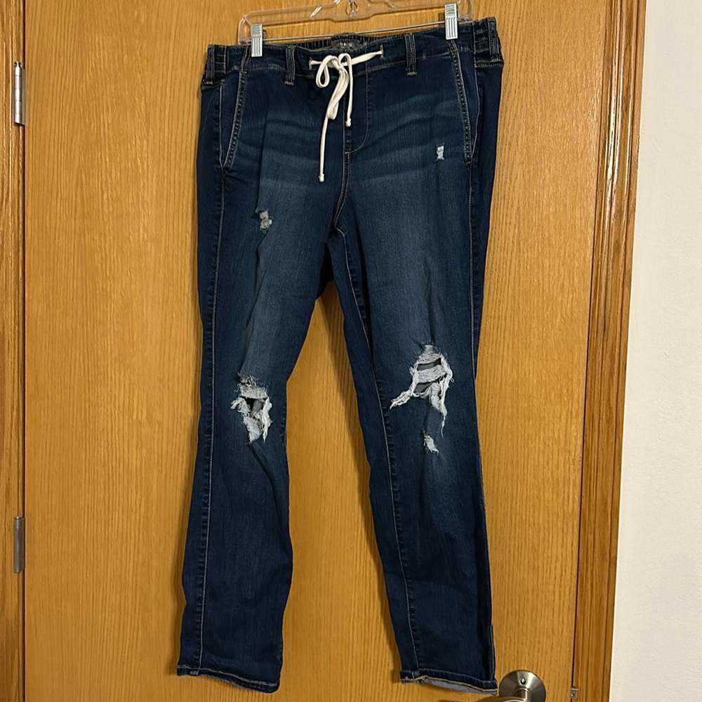 Torrid Skinny Jeans Size 1 Reg